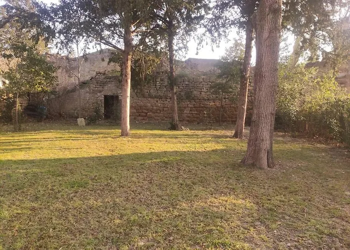 Maison De Ville Avec Jardin, Proche Vignoble