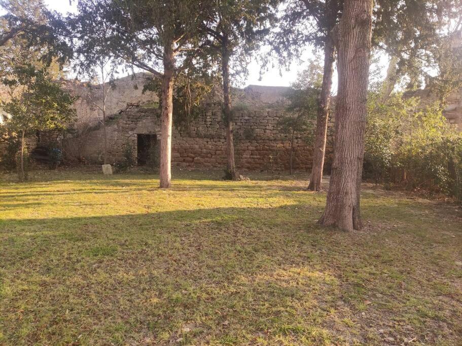 Maison De Avec Jardin, Proche Vignoble * Courthezon
